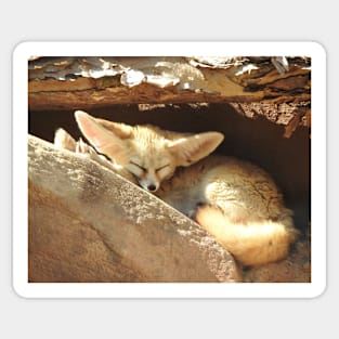 Fennec Fox Sticker